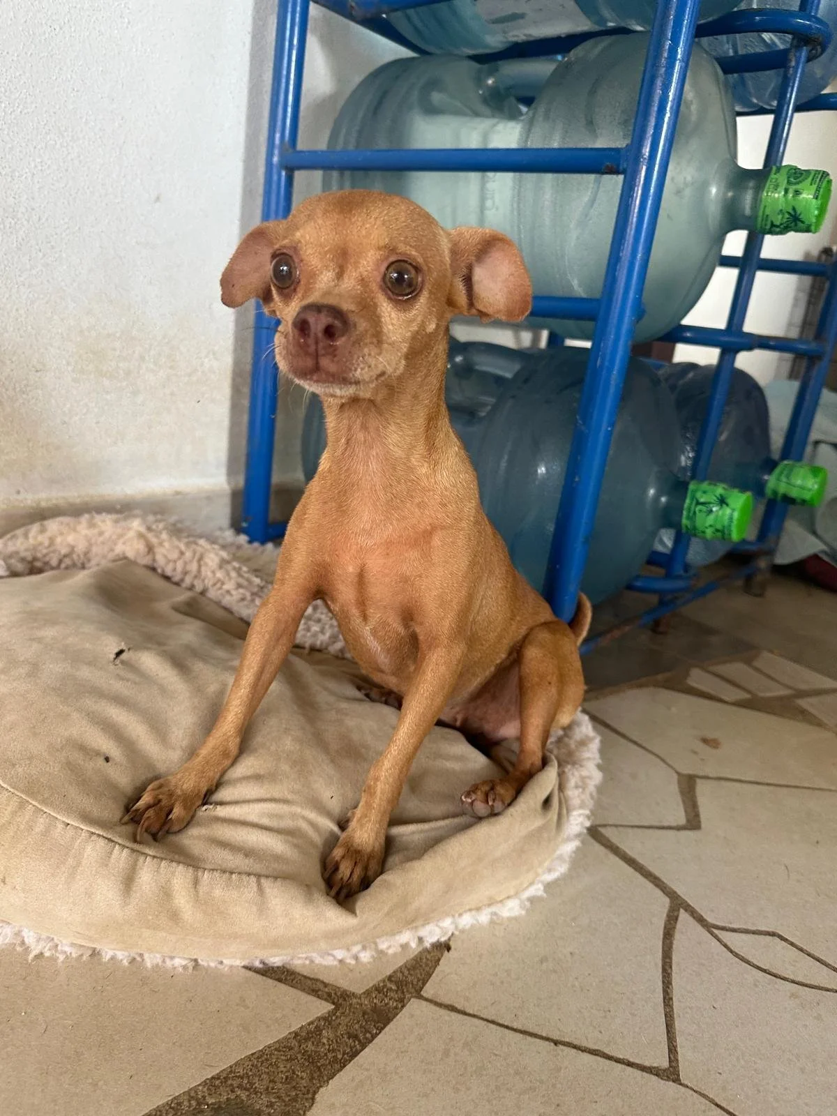 WhatsApp Image 2025-10-11 at 17.02.37_9969017a.jpg