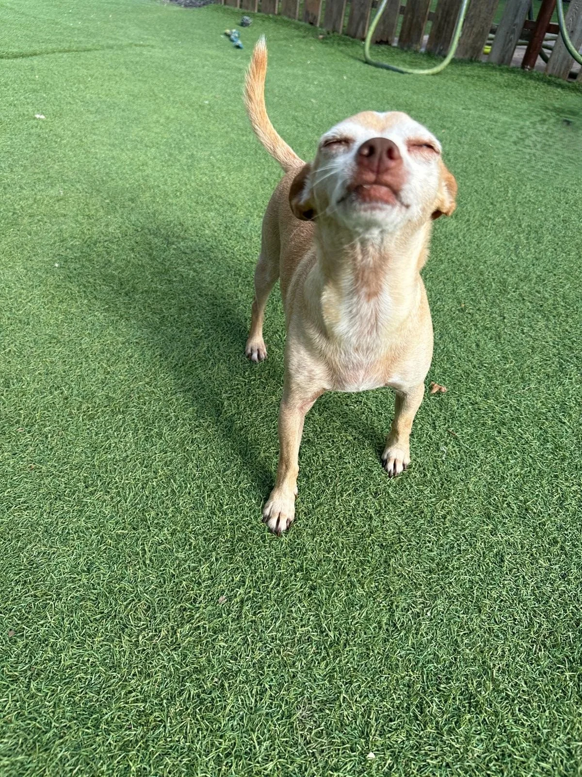 WhatsApp Image 2025-10-25 at 16.55.48_ef00c6df.jpg