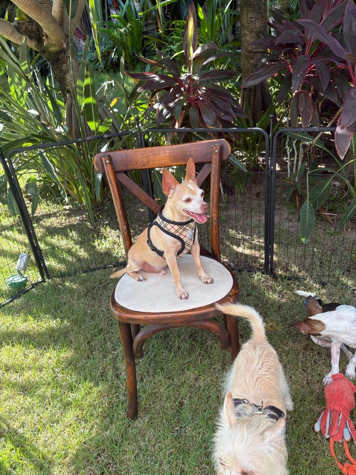 WhatsApp Image 2025-11-05 at 16.05.33_cdbc5f74.jpg