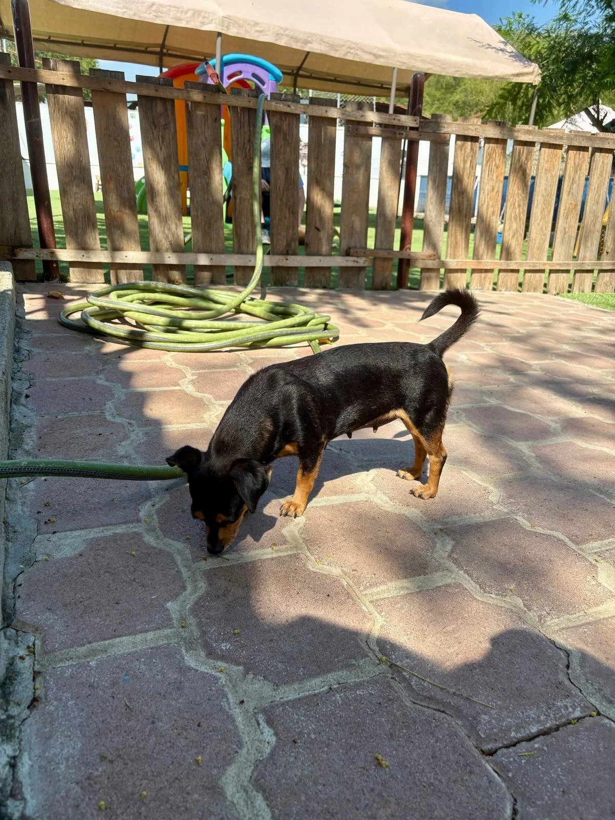 WhatsApp Image 2025-11-08 at 10.46.11_33412a5e.jpg