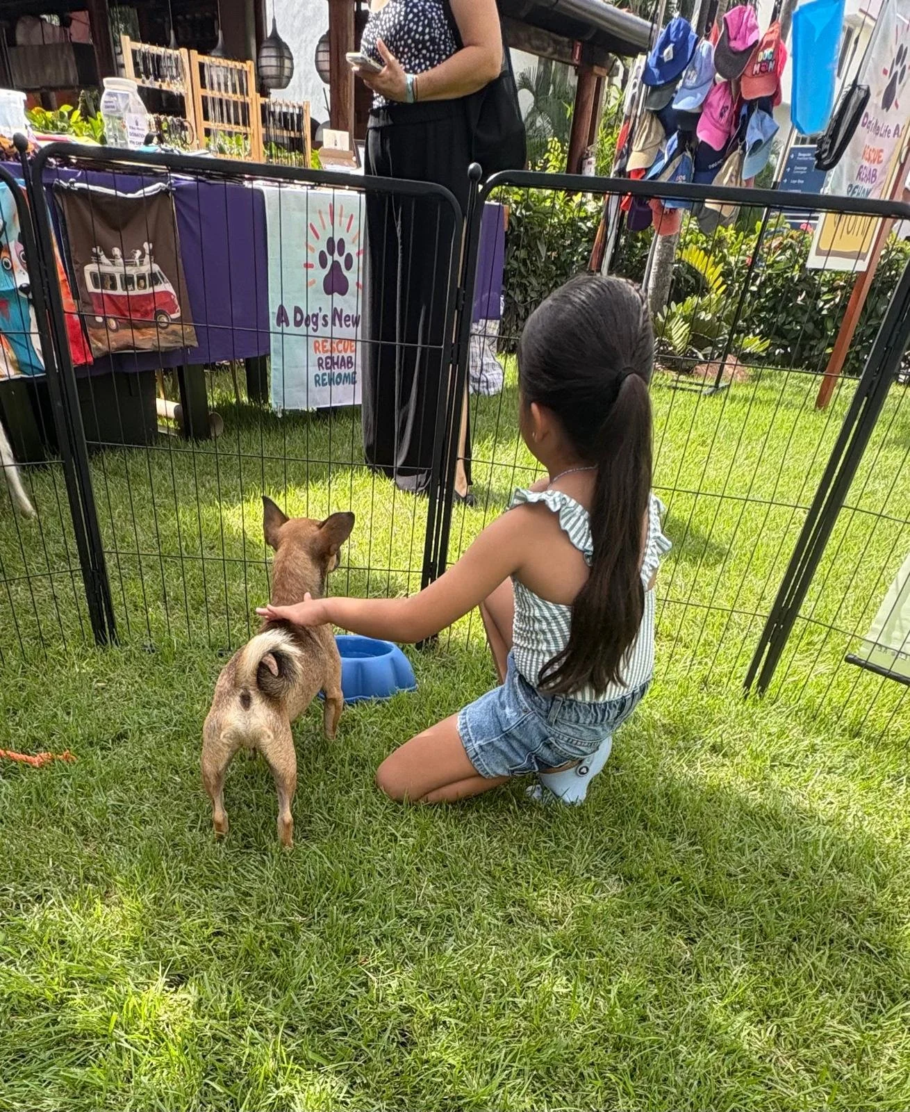 WhatsApp Image 2025-11-10 at 16.39.52_0551651f.jpg