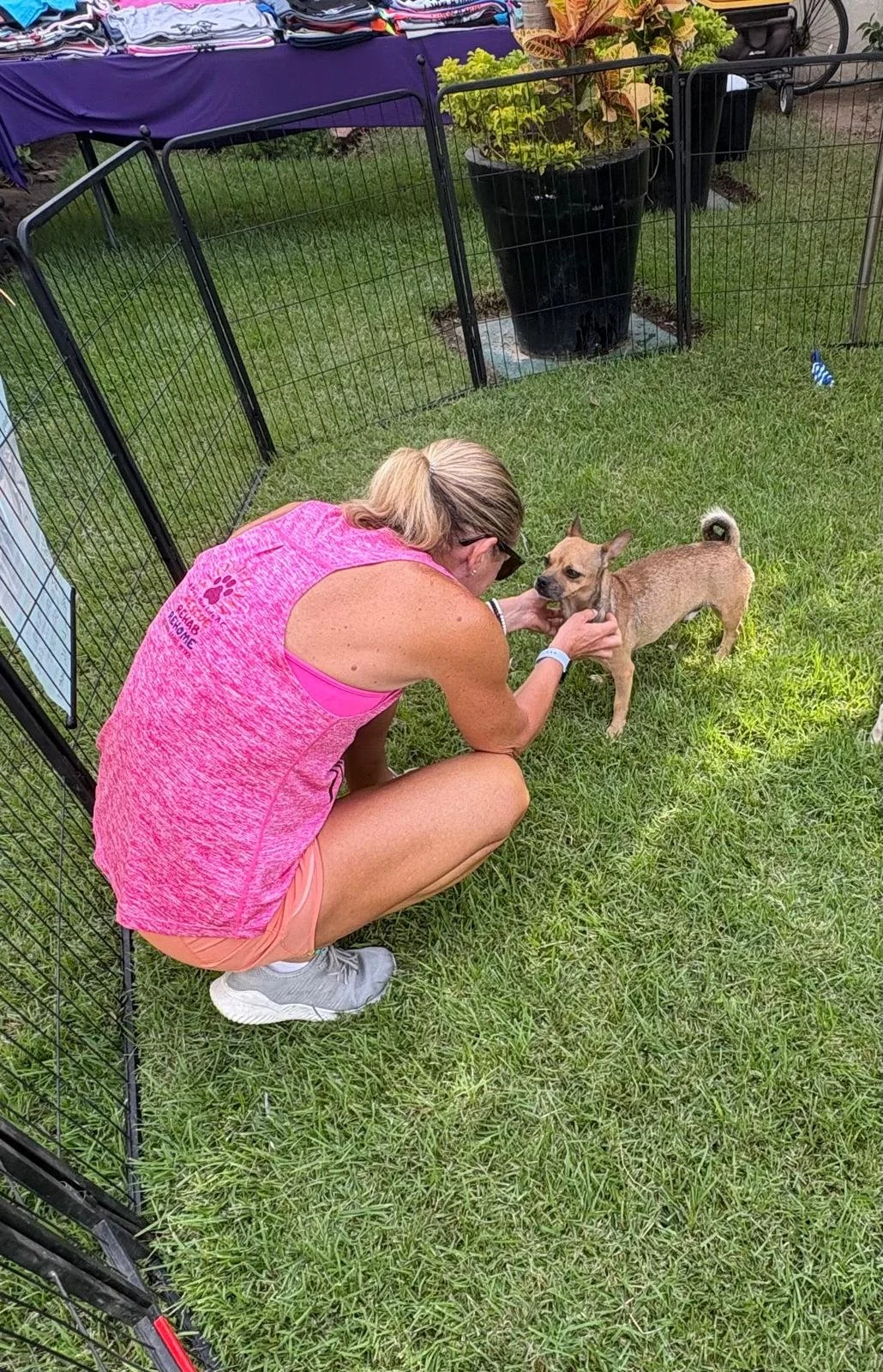 WhatsApp Image 2025-11-10 at 16.39.52_8cb6d7ec.jpg