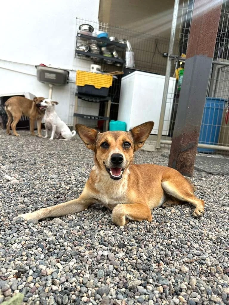 WhatsApp Image 2025-11-10 at 15.29.08_6efcf4ad.jpg