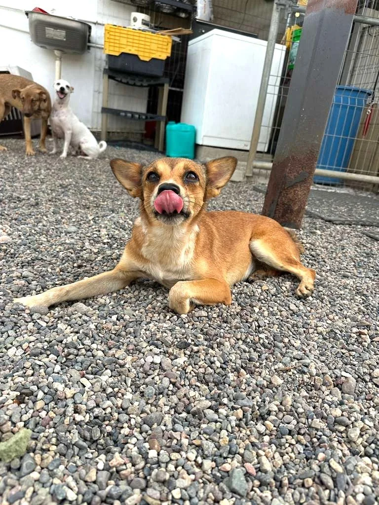 WhatsApp Image 2025-11-10 at 15.29.08_3d08c103.jpg