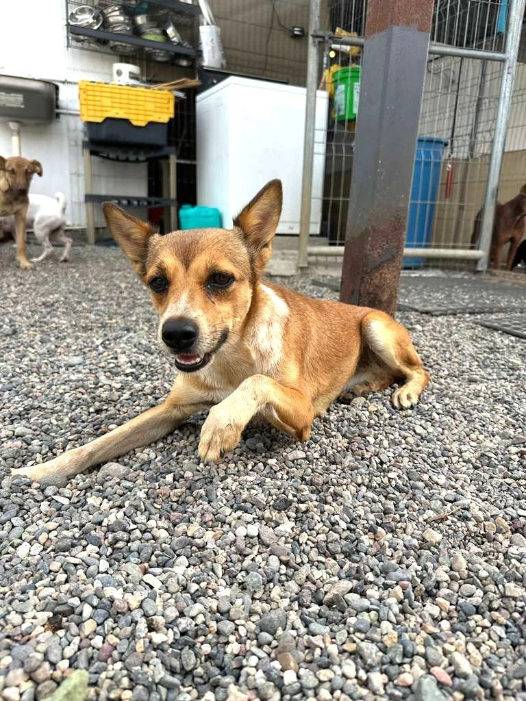 WhatsApp Image 2025-11-10 at 15.29.08_0ff32f62.jpg