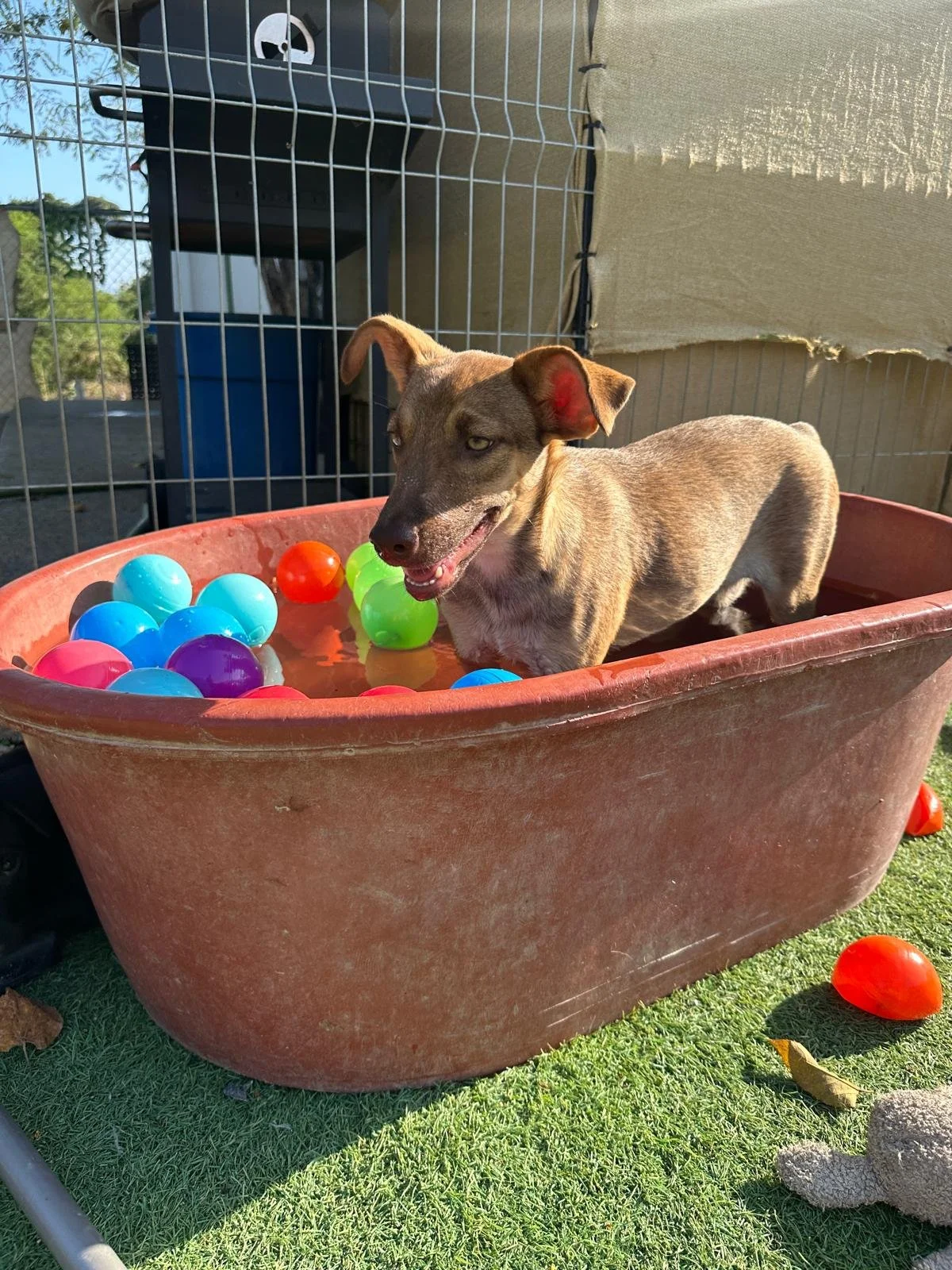 WhatsApp Image 2025-11-14 at 21.00.19_0cb58299.jpg