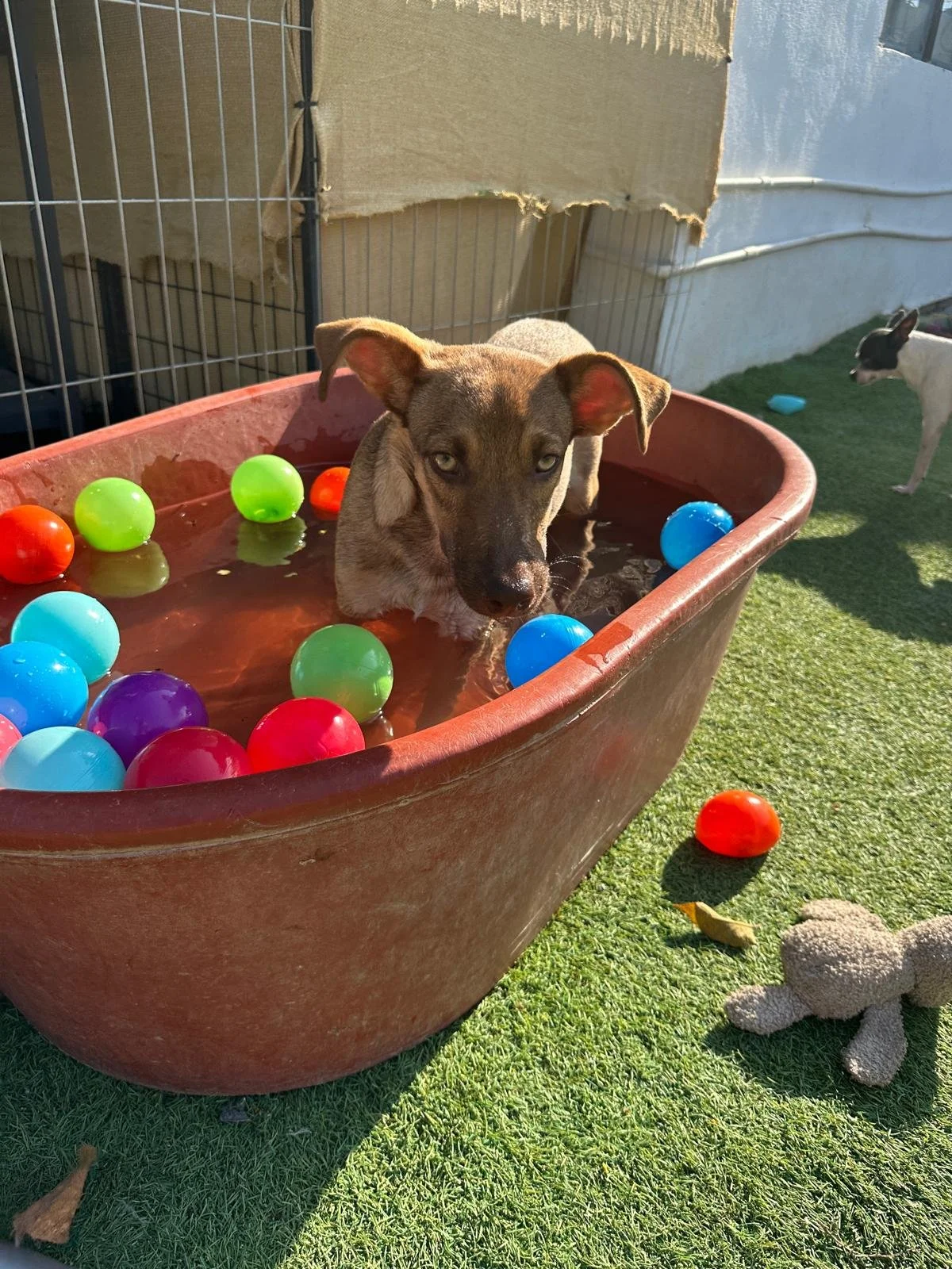 WhatsApp Image 2025-11-14 at 21.00.05_24545296.jpg