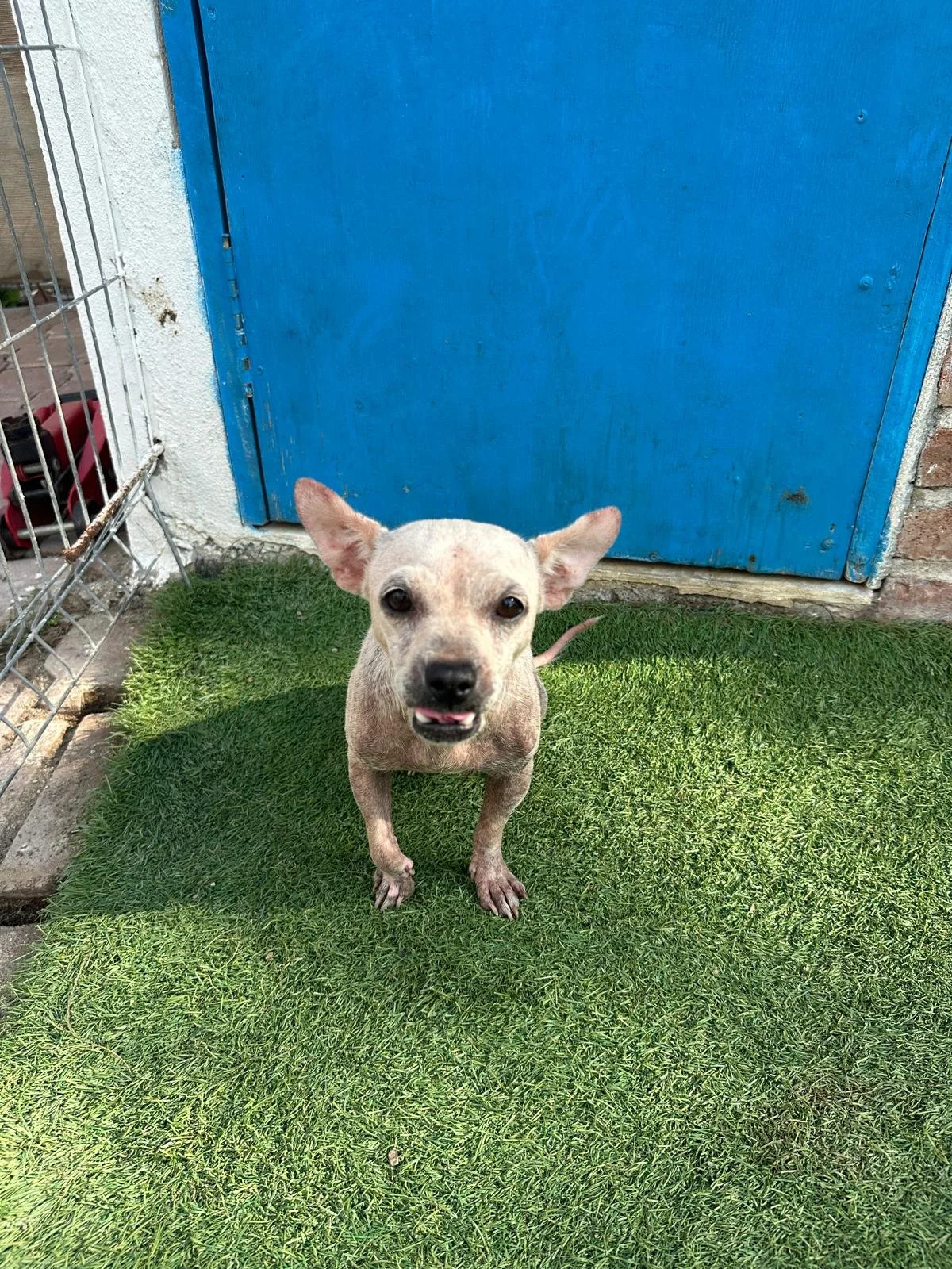 WhatsApp Image 2025-11-20 at 15.43.57_c5ab566a.jpg