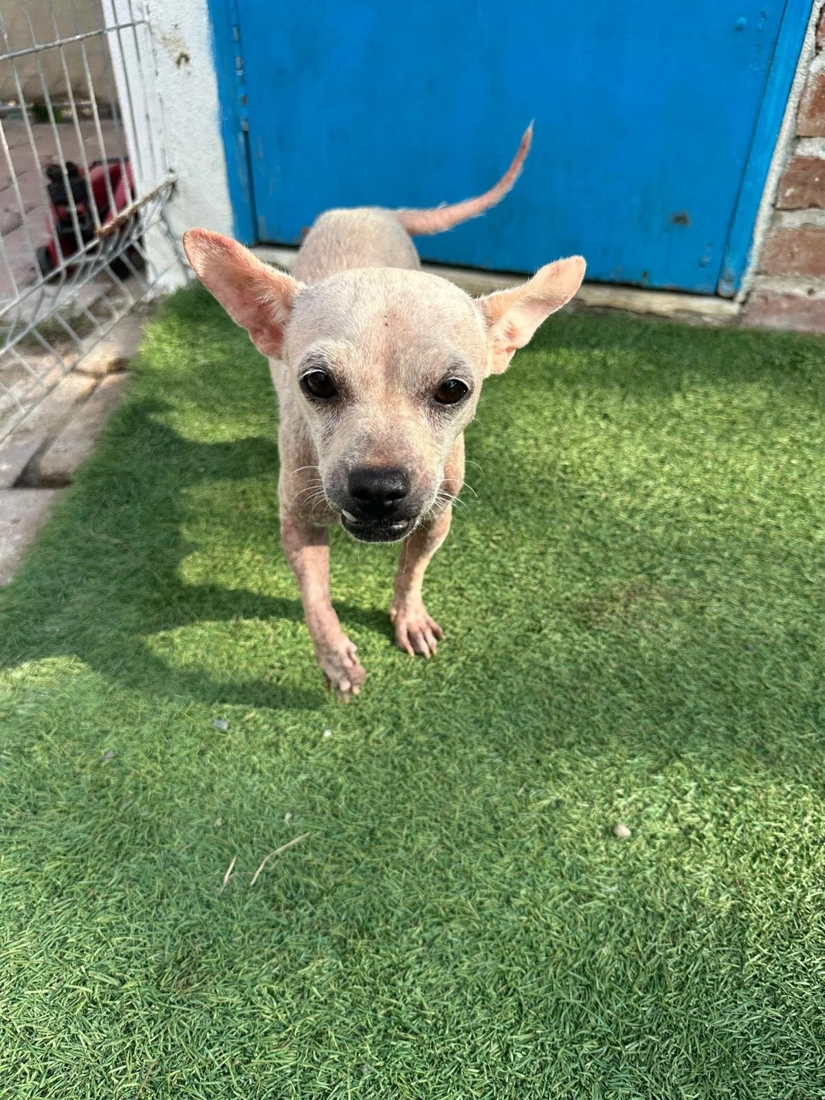 WhatsApp Image 2025-11-20 at 15.43.57_756664c5.jpg