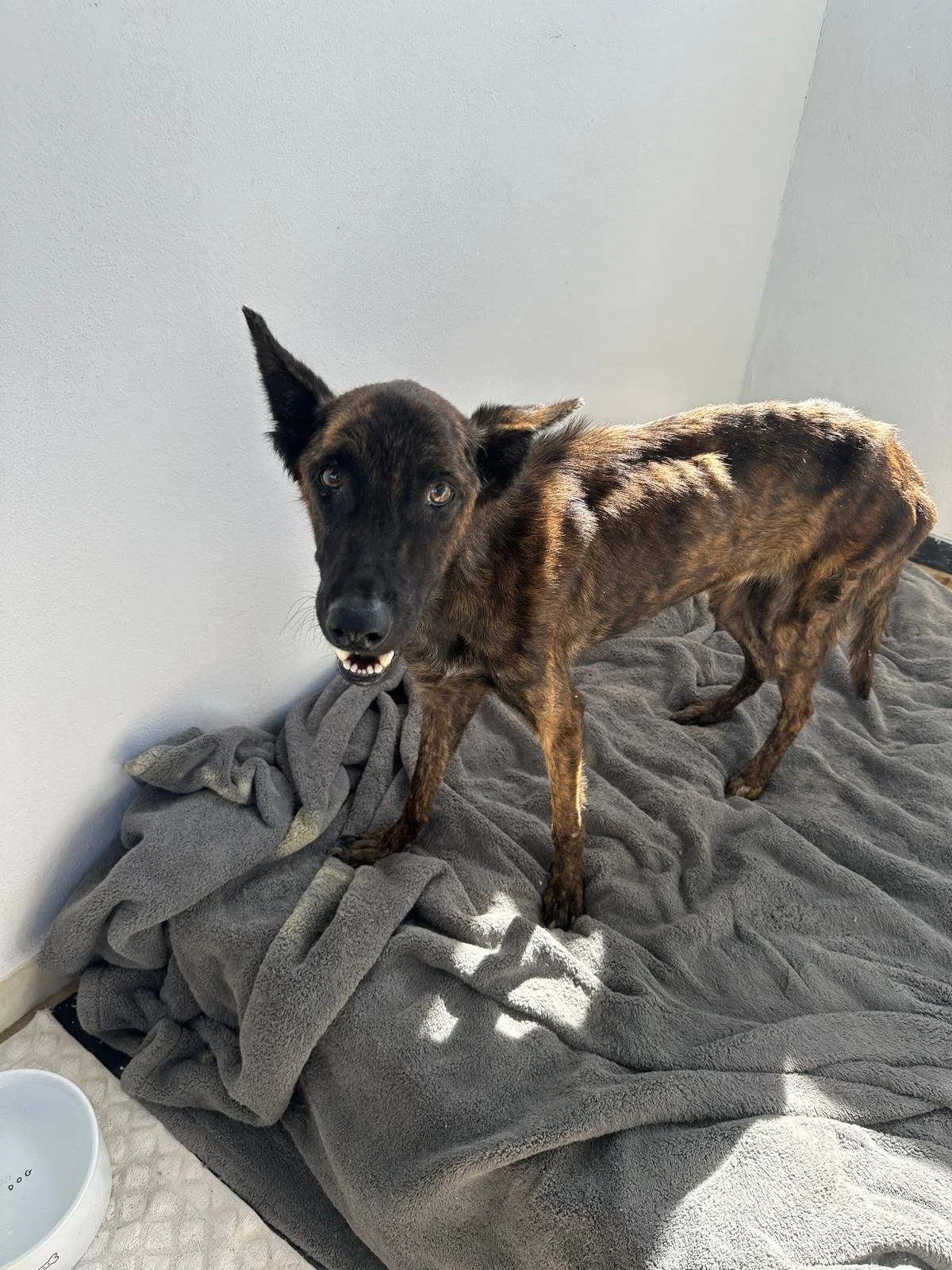 WhatsApp Image 2025-11-18 at 19.47.48_6565d099.jpg