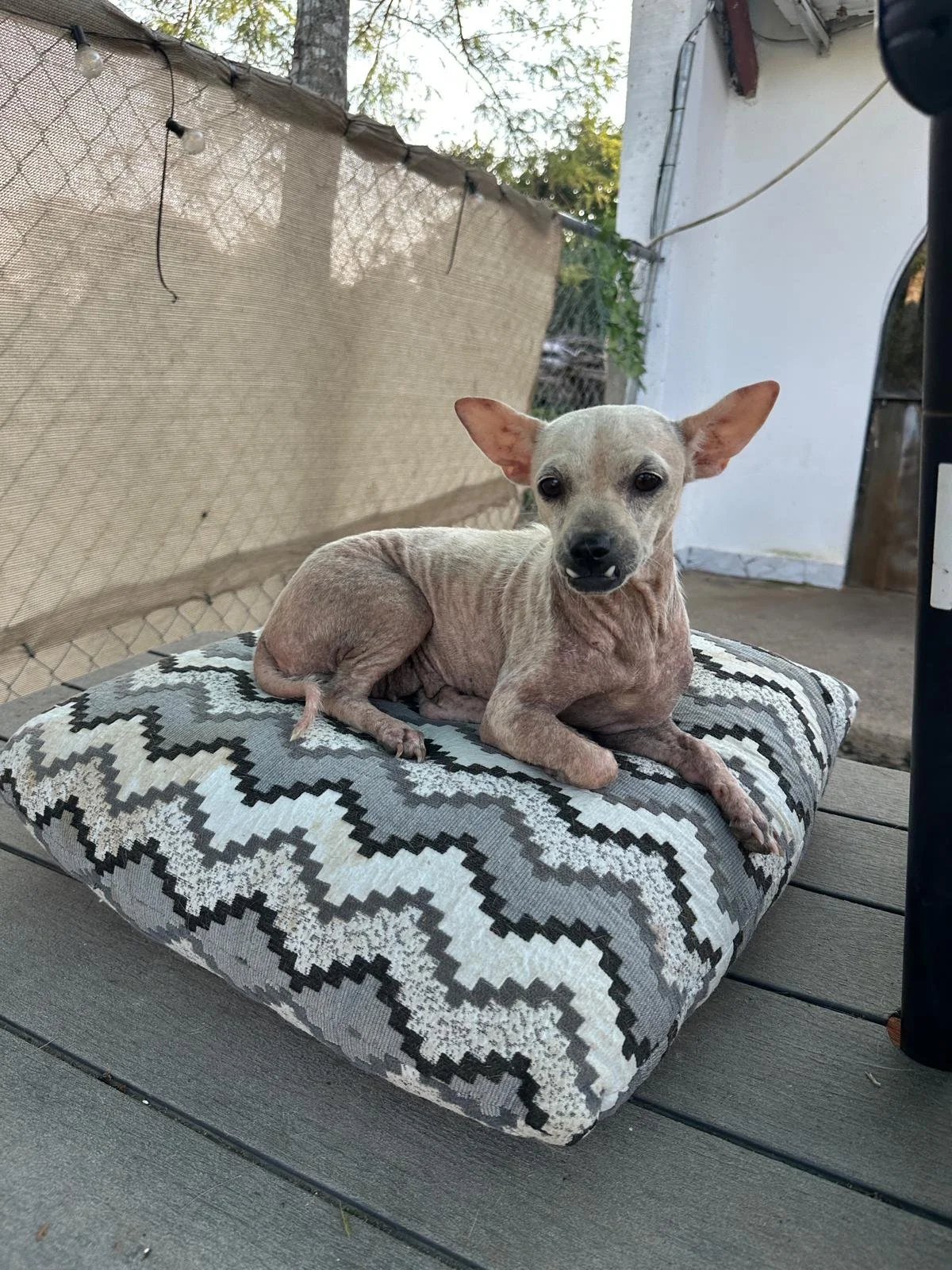 WhatsApp Image 2025-11-23 at 17.46.12_ec2c6776.jpg