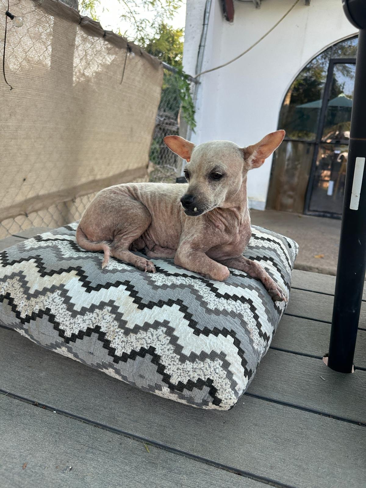 WhatsApp Image 2025-11-23 at 17.46.13_1c21ca47.jpg