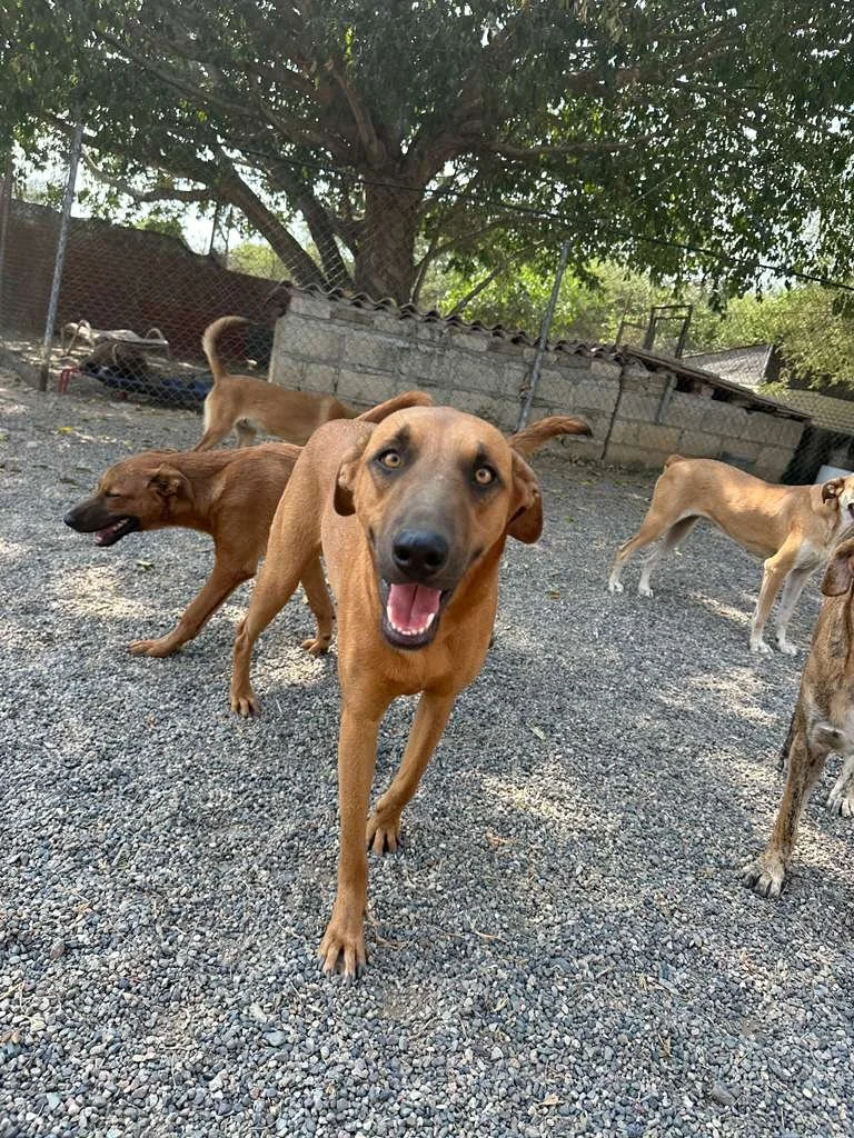 WhatsApp Image 2025-11-27 at 15.37.02_00e52d05.jpg