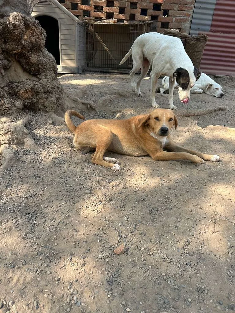 WhatsApp Image 2025-11-27 at 14.55.35_6c5862b4.jpg