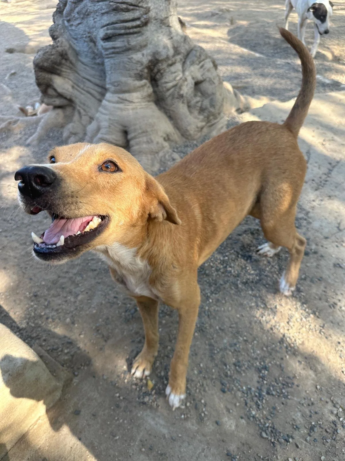 WhatsApp Image 2025-11-14 at 18.59.33_e05ecdd6.jpg