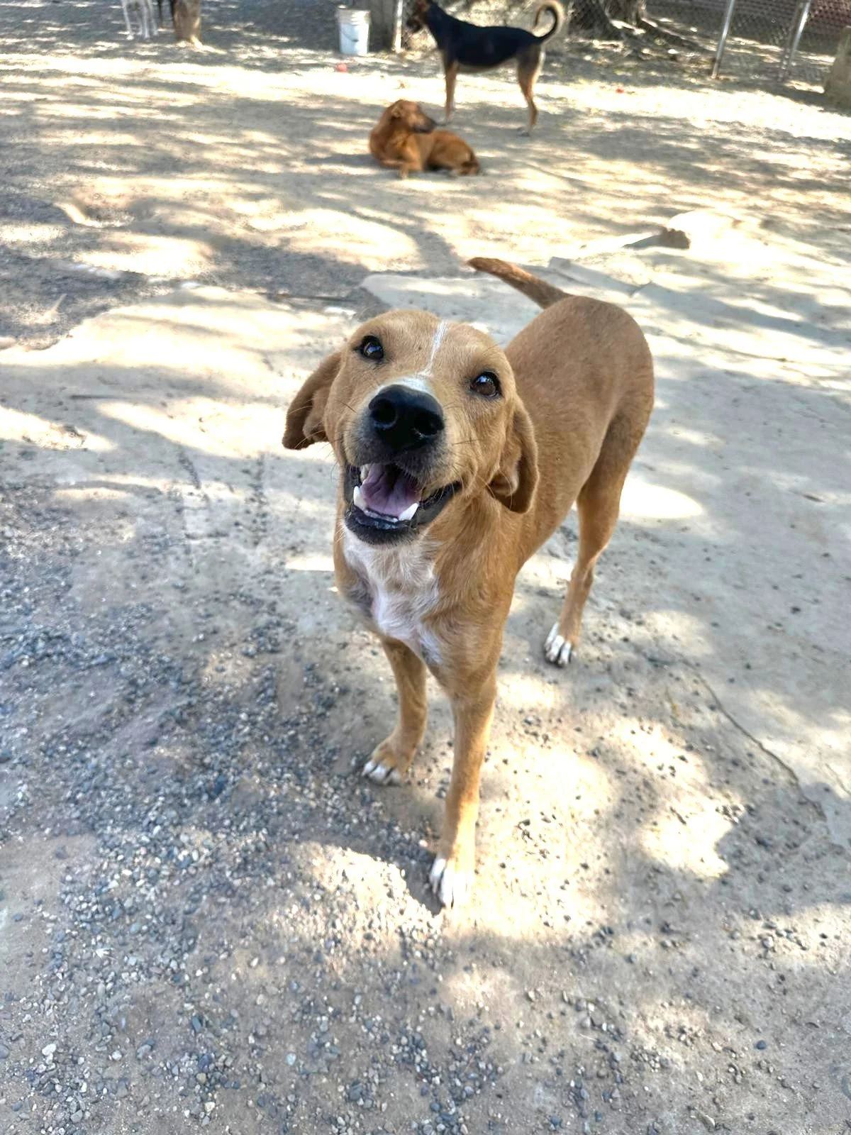 WhatsApp Image 2025-11-14 at 18.59.32_3ad102c2 (1).jpg