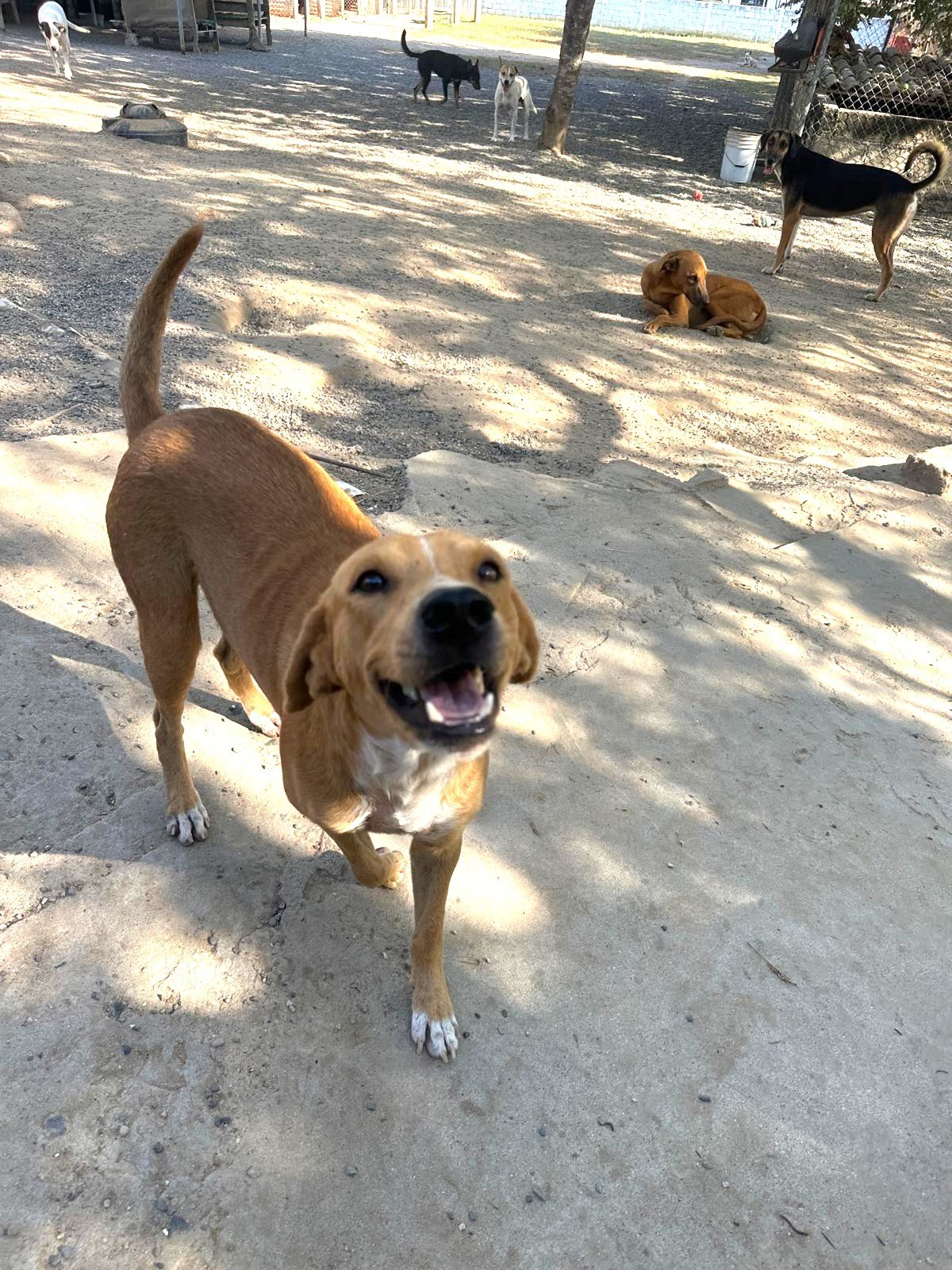 WhatsApp Image 2025-11-14 at 18.59.32_91ee65a1 (1).jpg