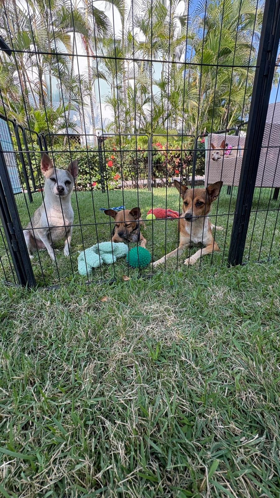 WhatsApp Image 2025-11-24 at 11.49.11_6693d73a.jpg