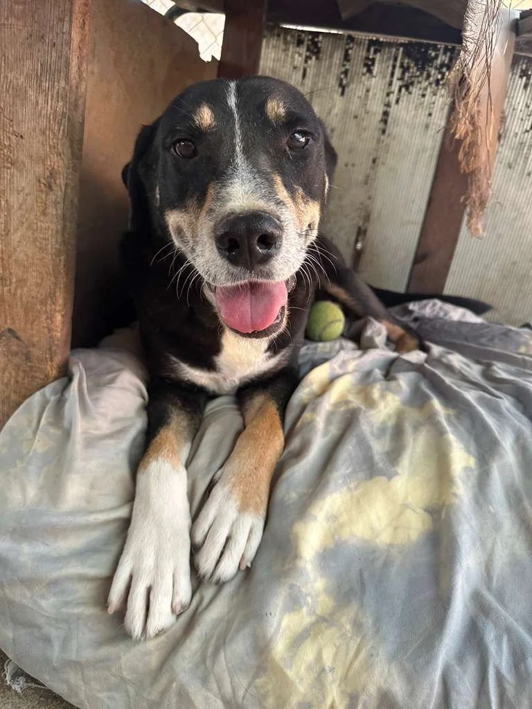 WhatsApp Image 2025-12-03 at 15.38.53_21d4fd79.jpg