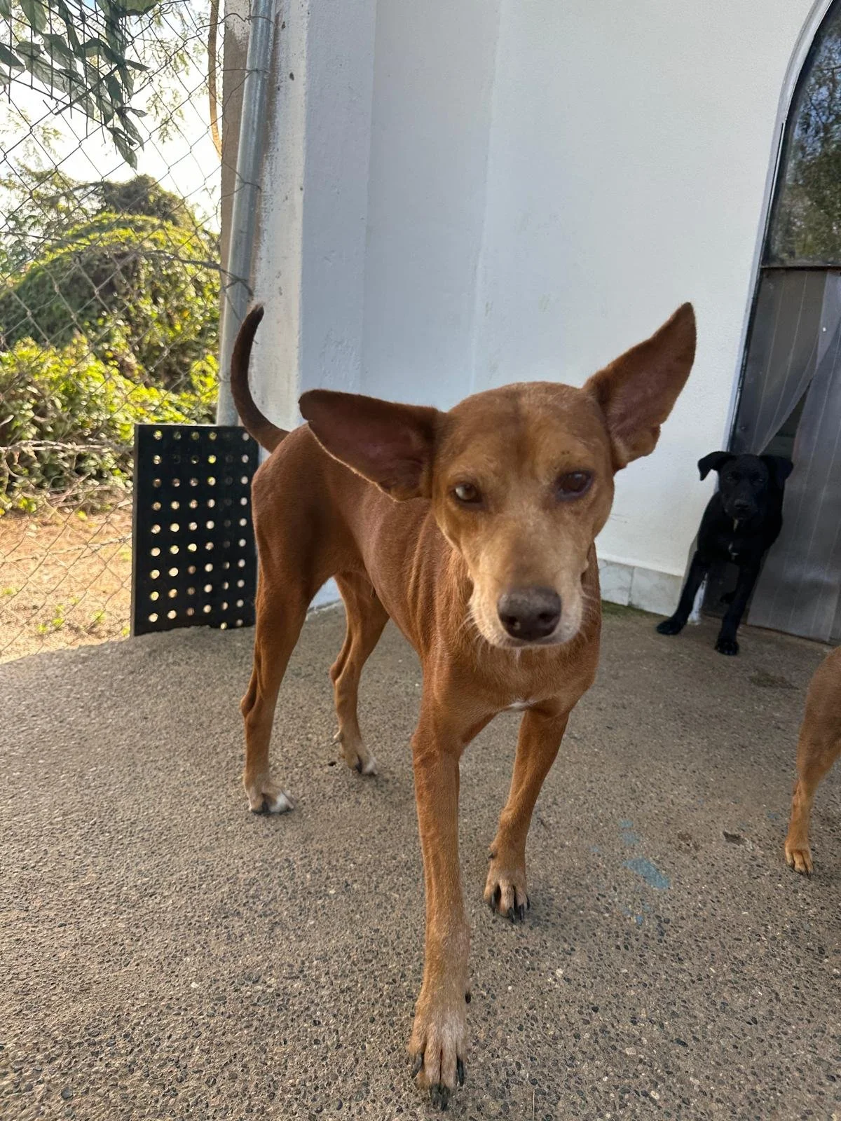 WhatsApp Image 2025-12-08 at 16.58.59_7f6baede.jpg