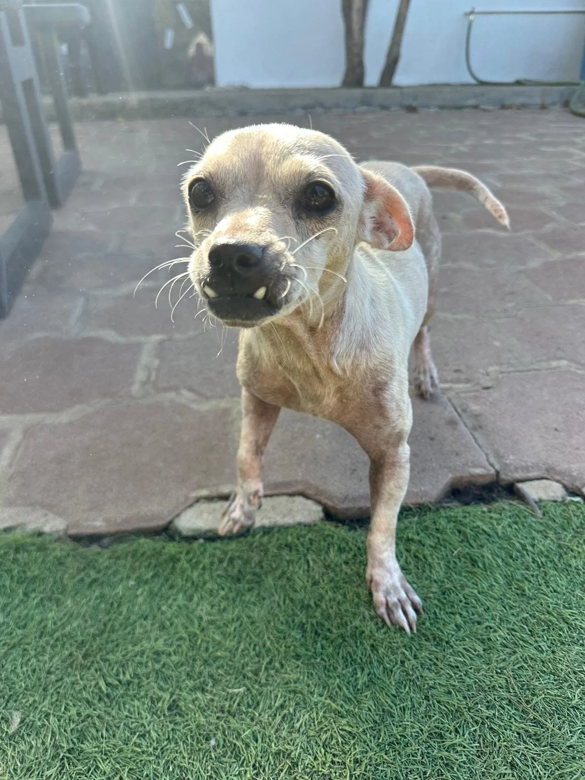 WhatsApp Image 2025-12-08 at 16.55.12_5ae086e5.jpg