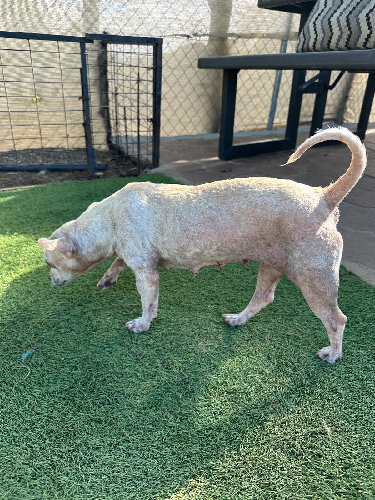 WhatsApp Image 2025-12-08 at 16.55.12_bac30e57.jpg