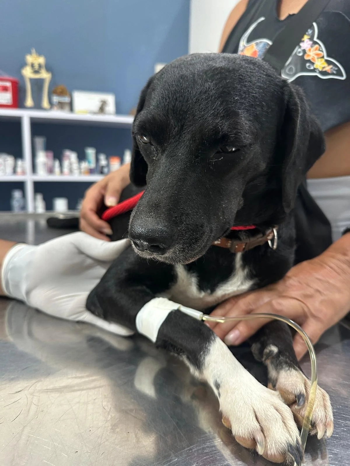 WhatsApp Image 2025-12-08 at 16.55.24_bb4003ca.jpg