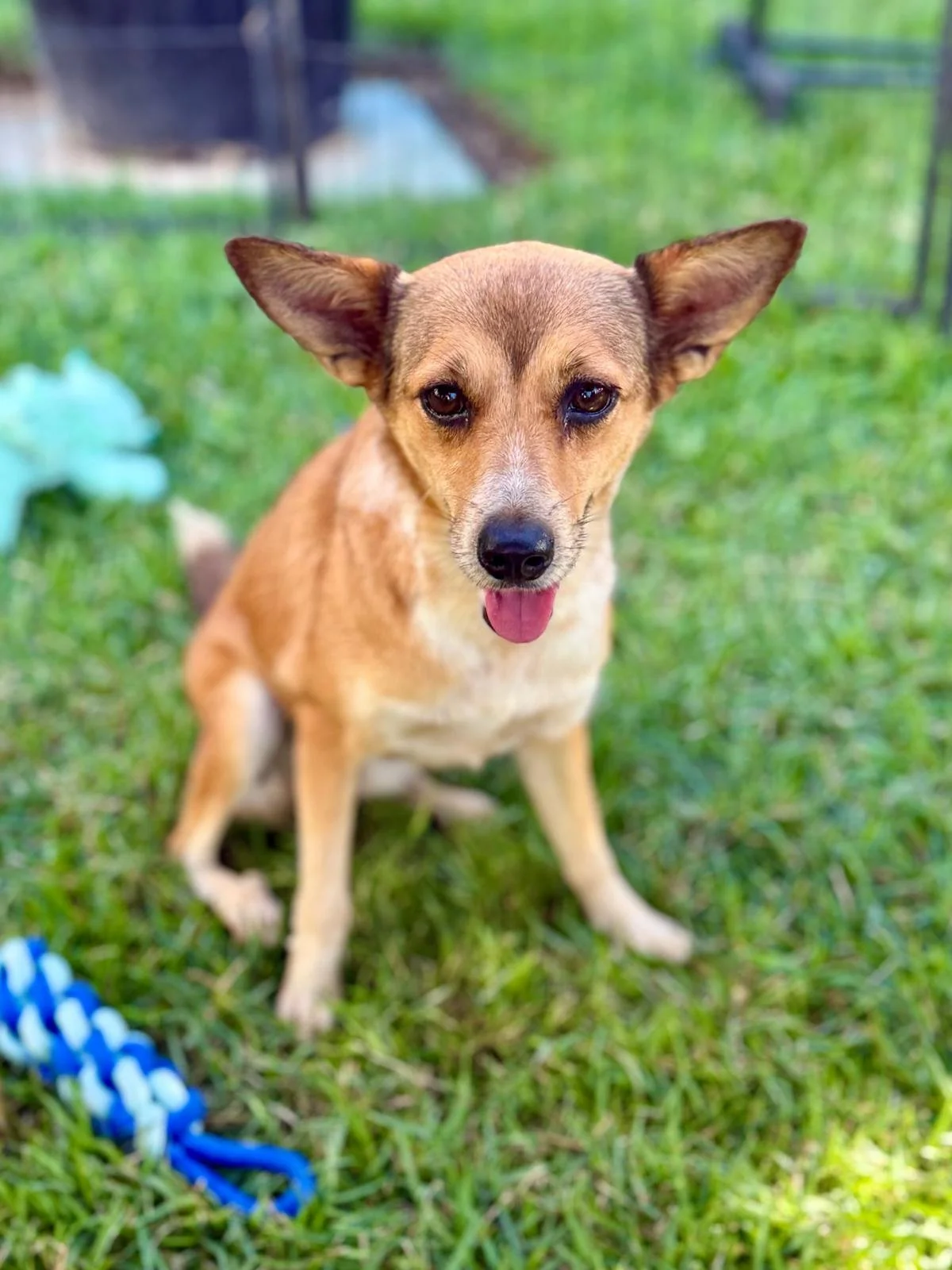 Fergie 12-8-25 D.jpeg