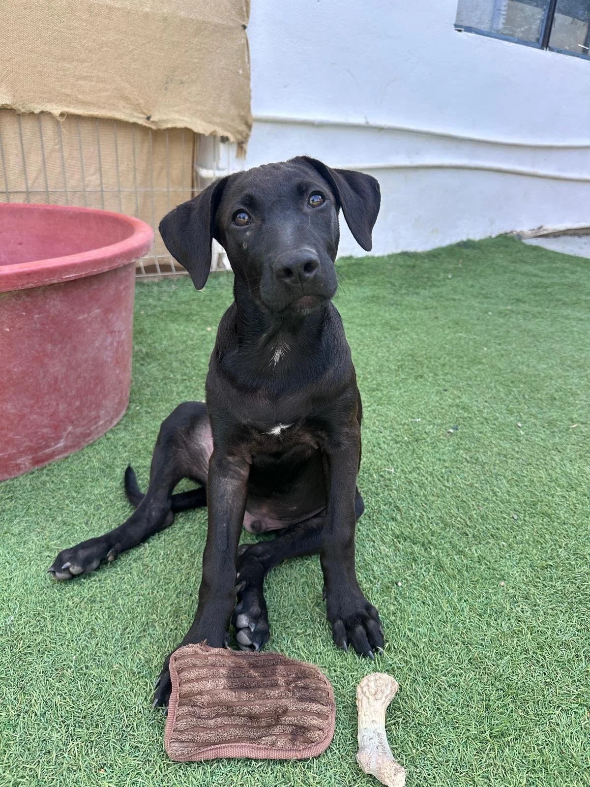 Obi (8).jpg