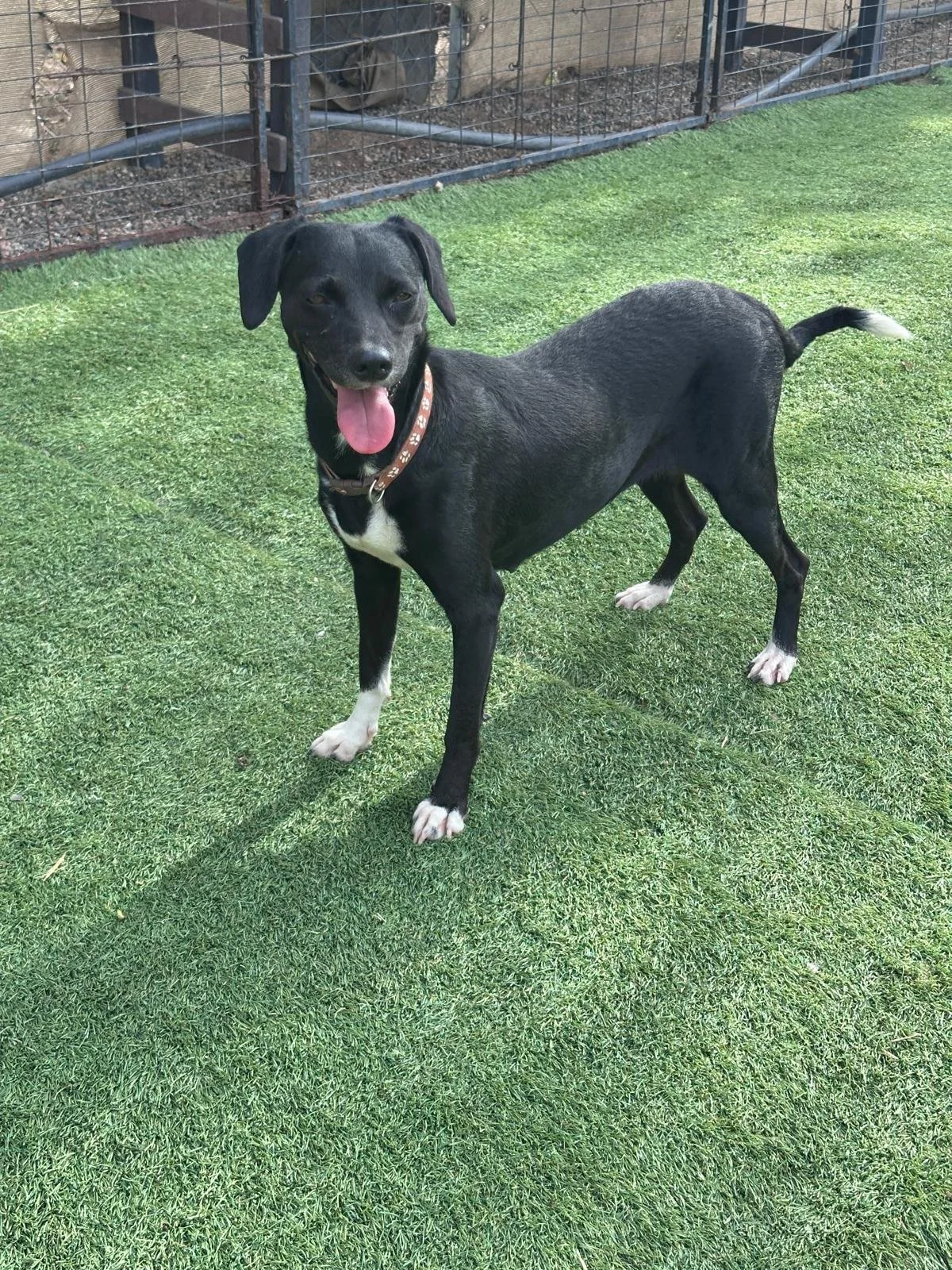 WhatsApp Image 2025-12-09 at 16.41.51_e20767a1.jpg