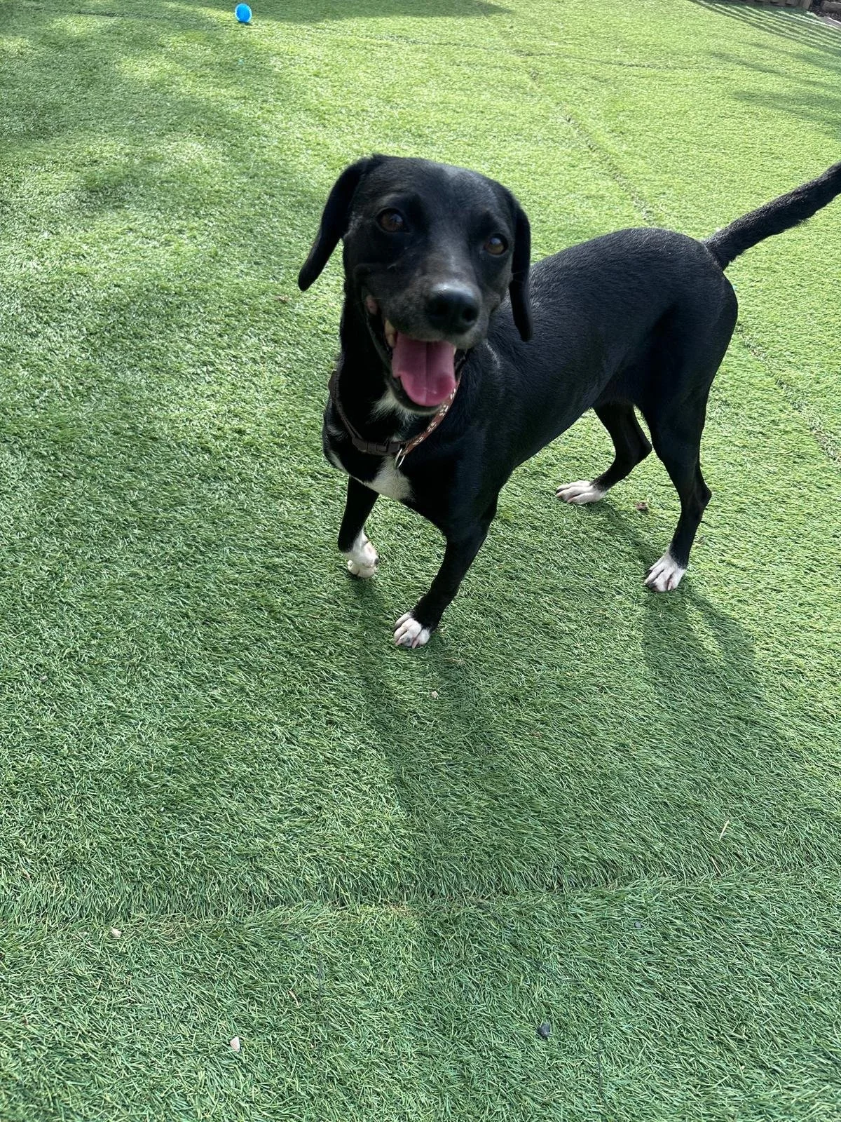 WhatsApp Image 2025-12-09 at 16.41.51_04296723.jpg