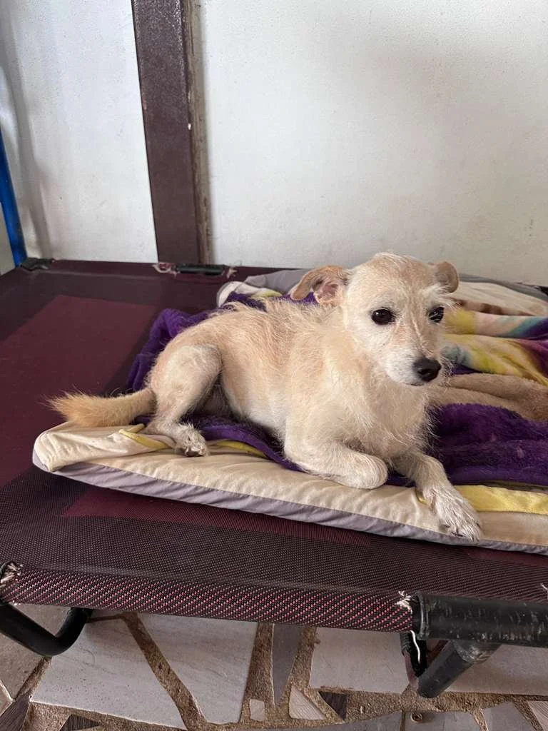 Mimi 12-10-25 A.jpeg