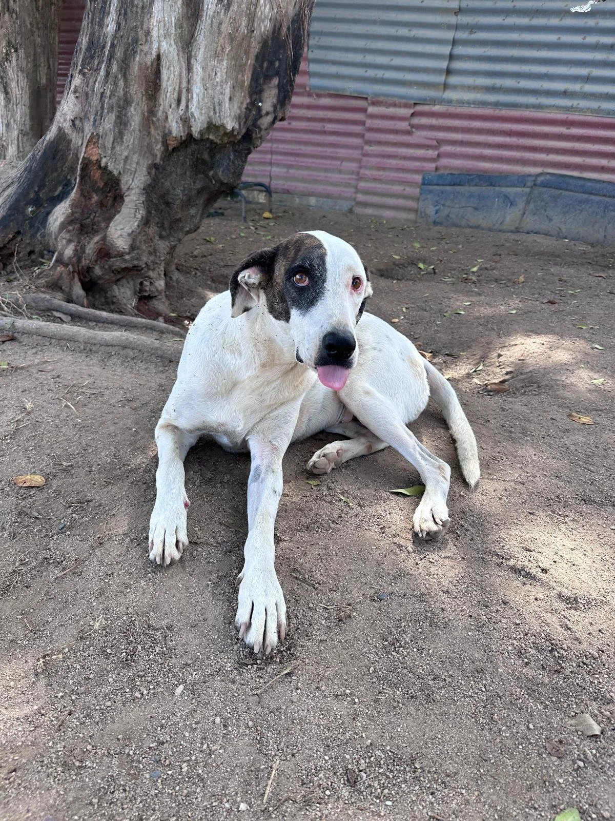 Gina 12-10-25 A.jpeg