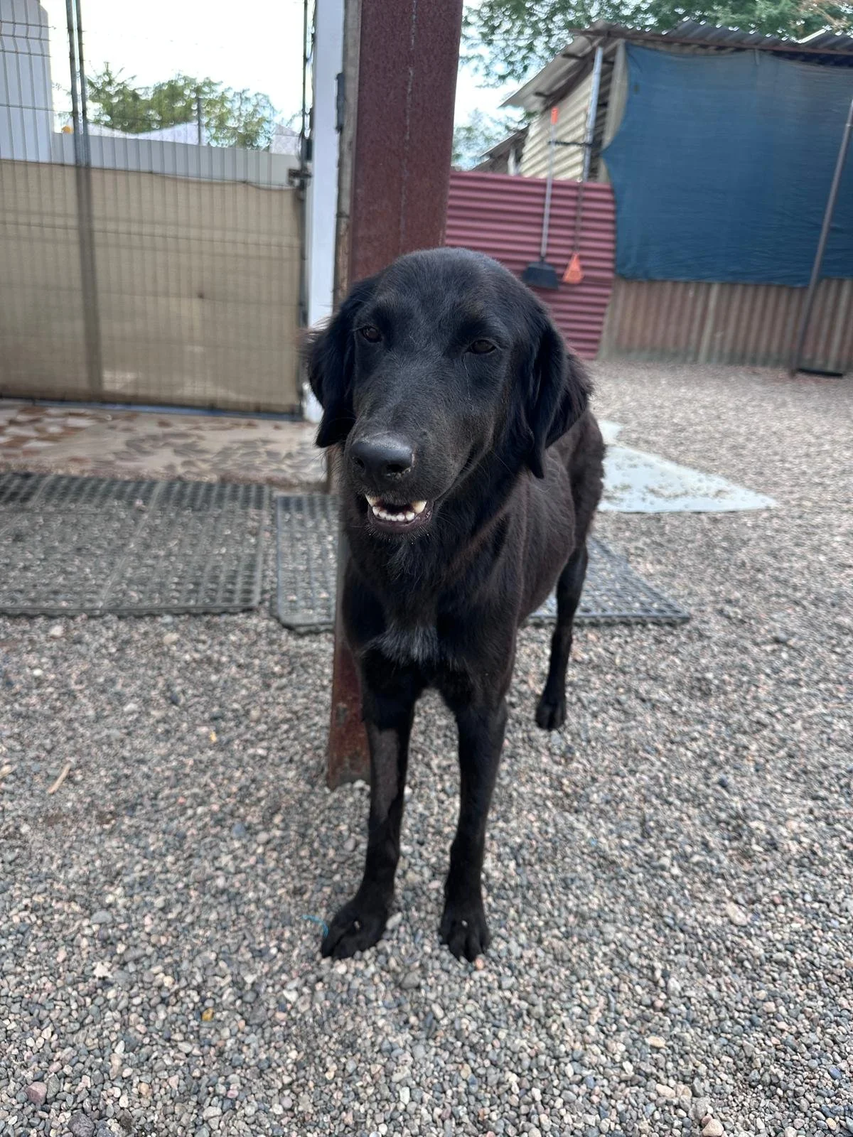 Seali 12-11-25 B.jpeg