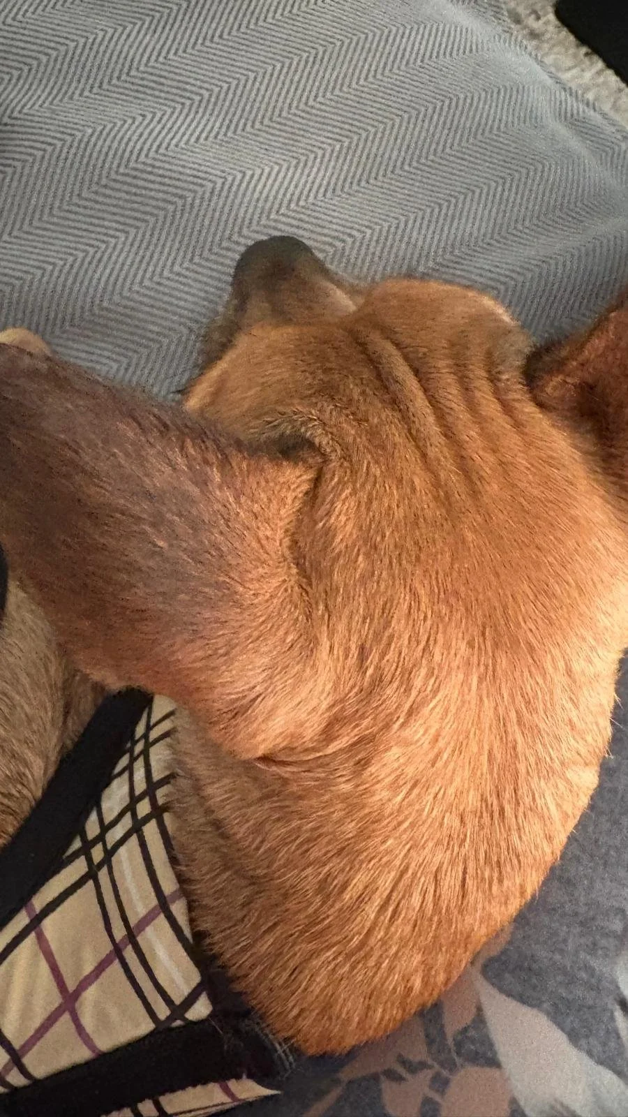 WhatsApp Image 2025-12-11 at 14.54.14_ab567757.jpg