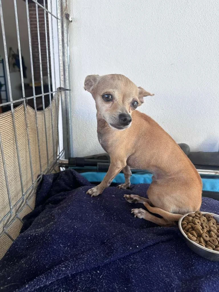 WhatsApp Image 2025-12-12 at 3.10.03 PM (3).jpeg