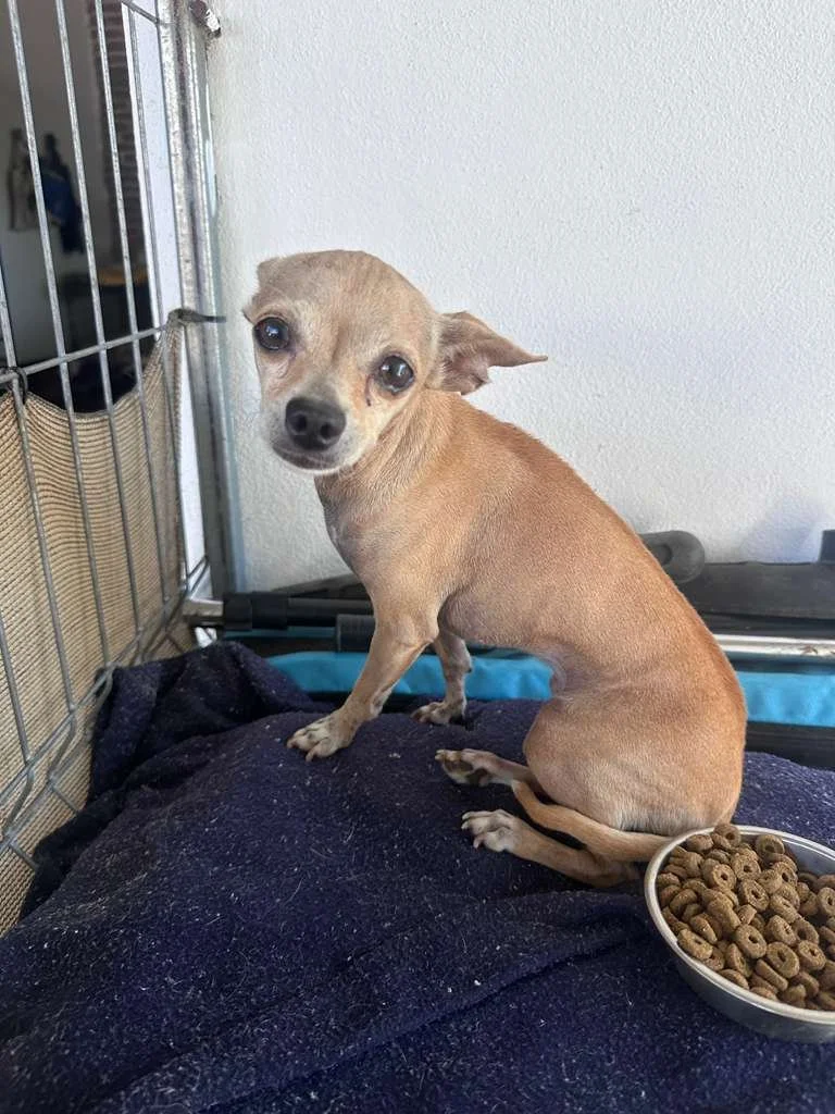 WhatsApp Image 2025-12-12 at 3.10.03 PM (4).jpeg