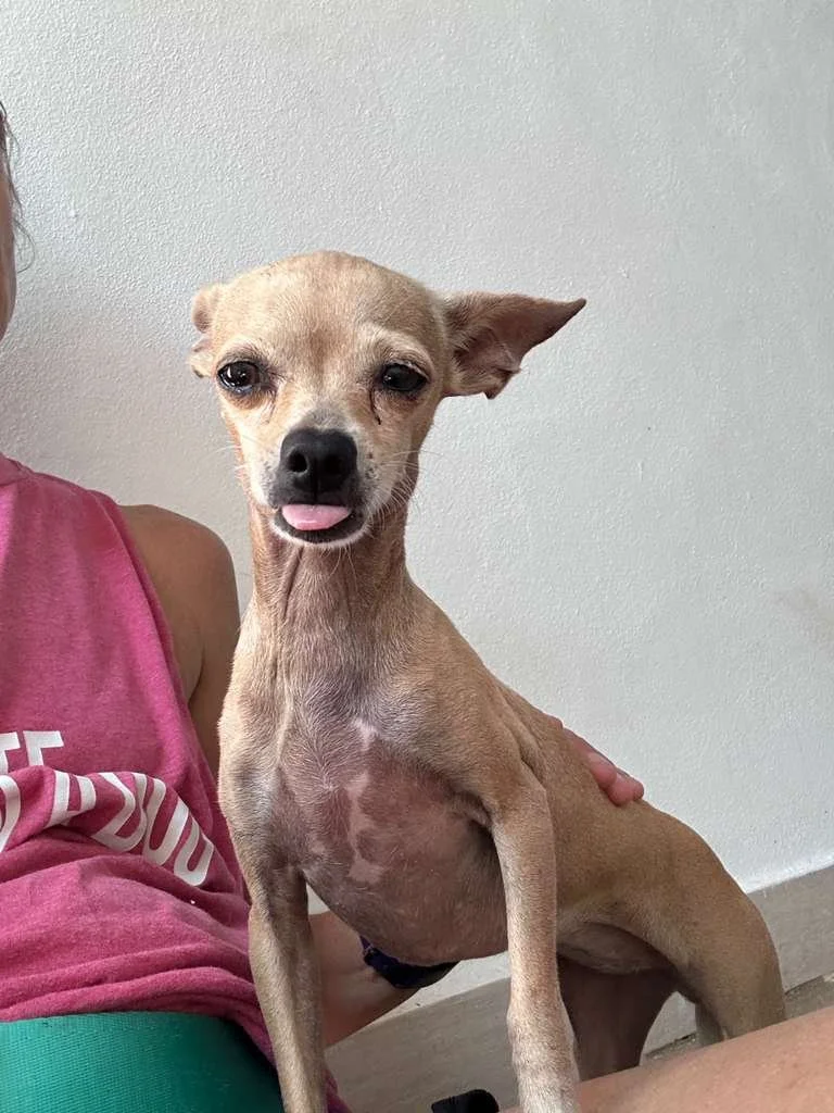 WhatsApp Image 2025-12-12 at 3.10.03 PM.jpeg