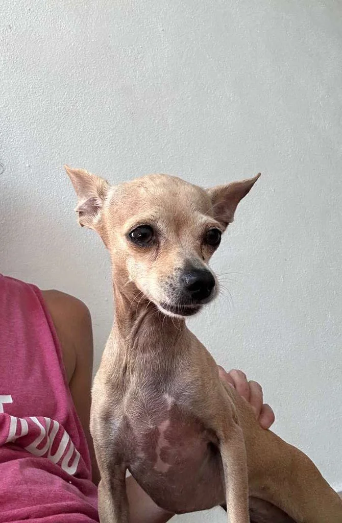 WhatsApp Image 2025-12-12 at 3.10.02 PM (1).jpeg