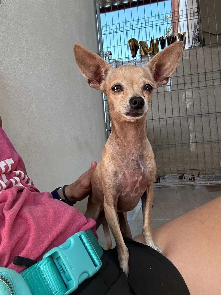 WhatsApp Image 2025-12-12 at 3.10.03 PM (1).jpeg