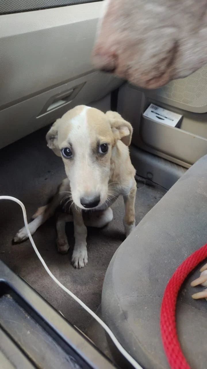 WhatsApp Image 2025-12-12 at 4.01.21 PM (1).jpeg