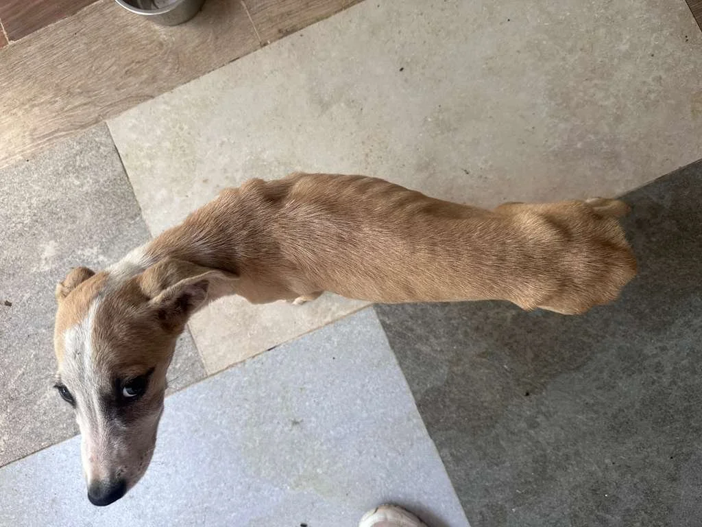 WhatsApp Image 2025-12-12 at 4.01.21 PM (6).jpeg