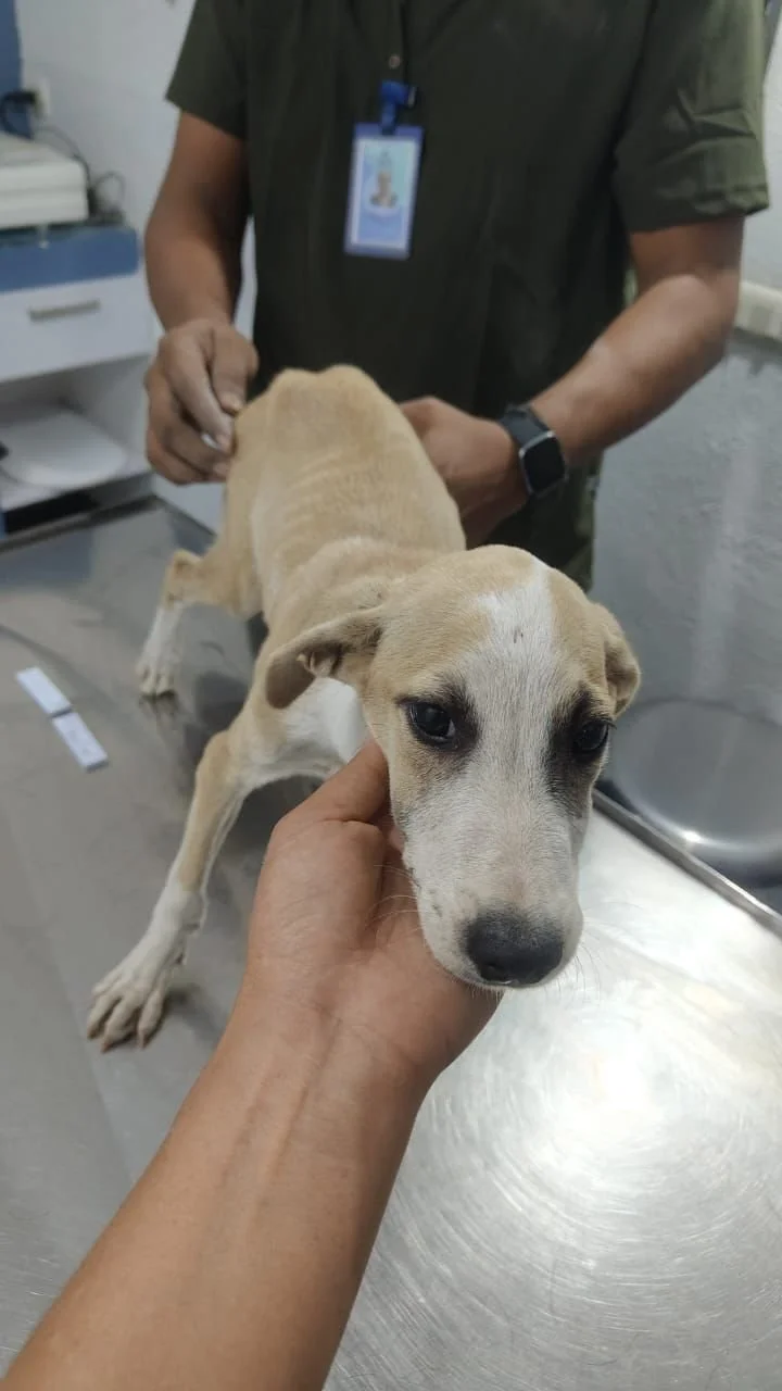 WhatsApp Image 2025-12-12 at 4.01.21 PM.jpeg