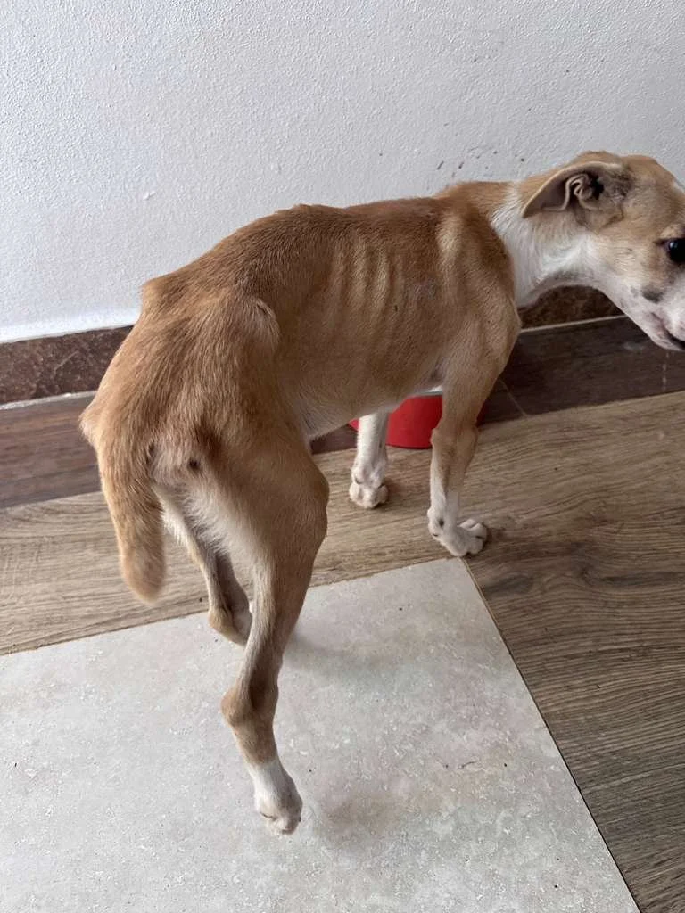 WhatsApp Image 2025-12-12 at 4.01.22 PM (3).jpeg