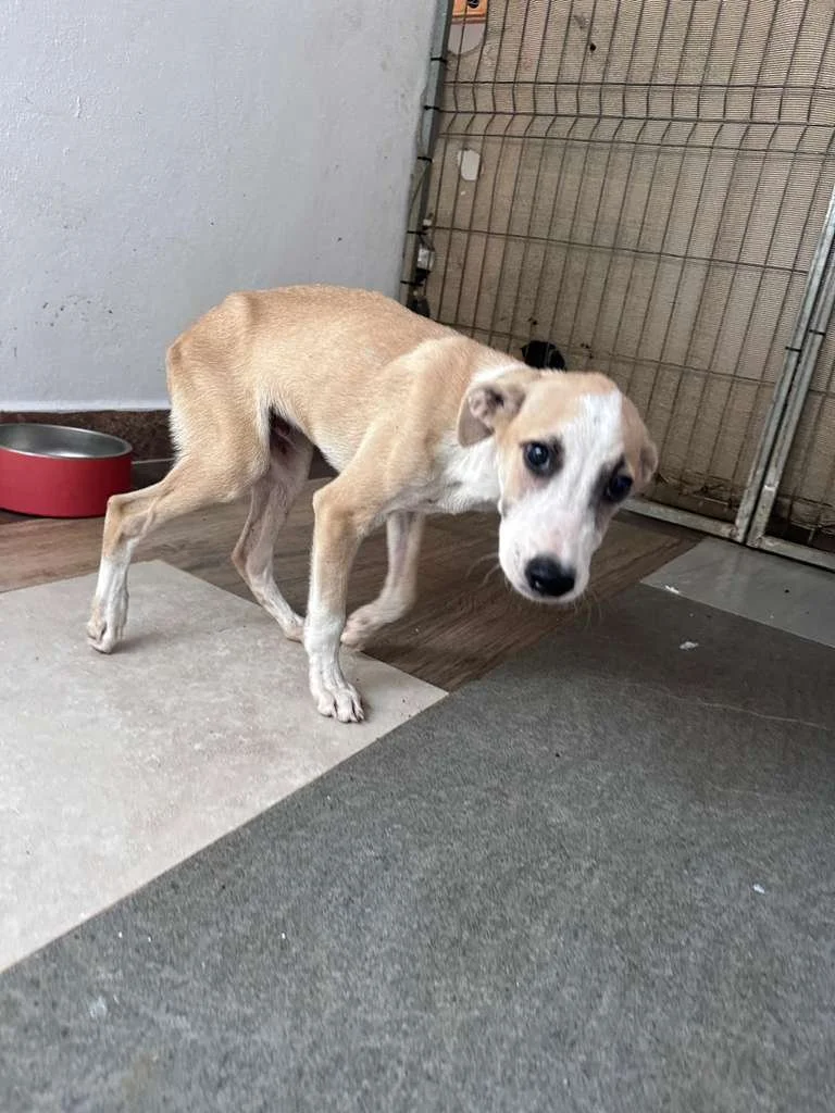 WhatsApp Image 2025-12-12 at 4.01.22 PM (4).jpeg