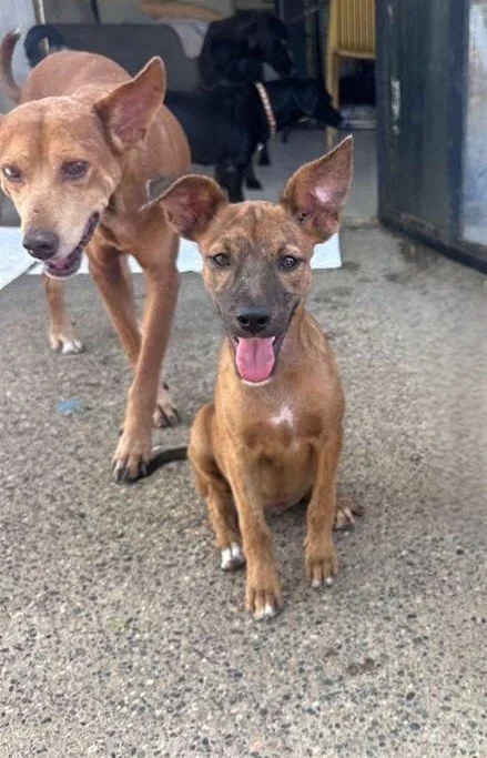 Bonita 12-13-25 A.jpeg