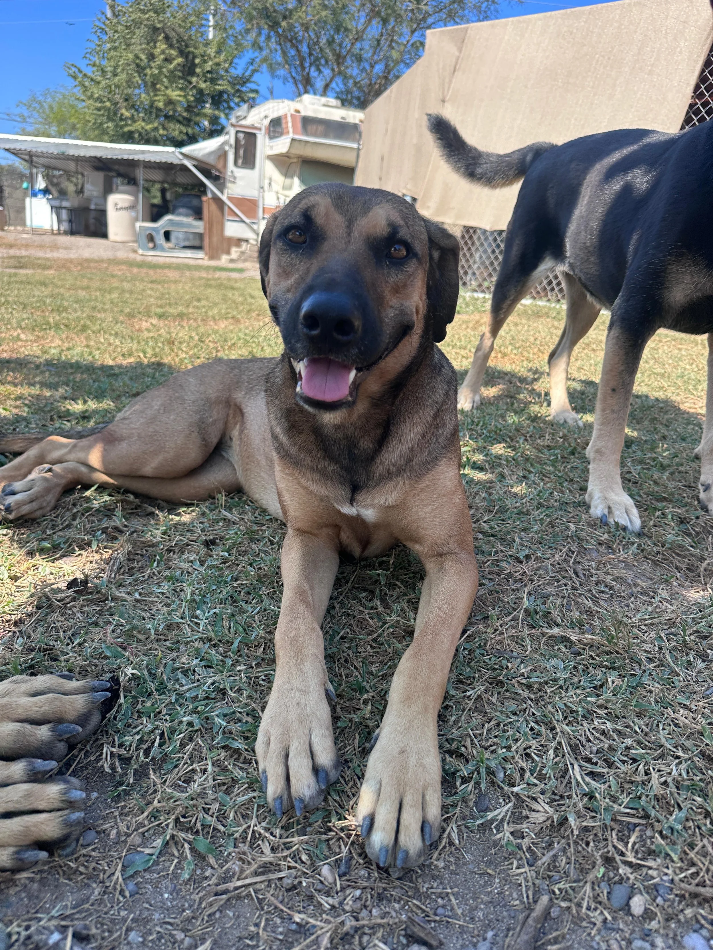 Dua Lipa 12-13-25 D.jpeg