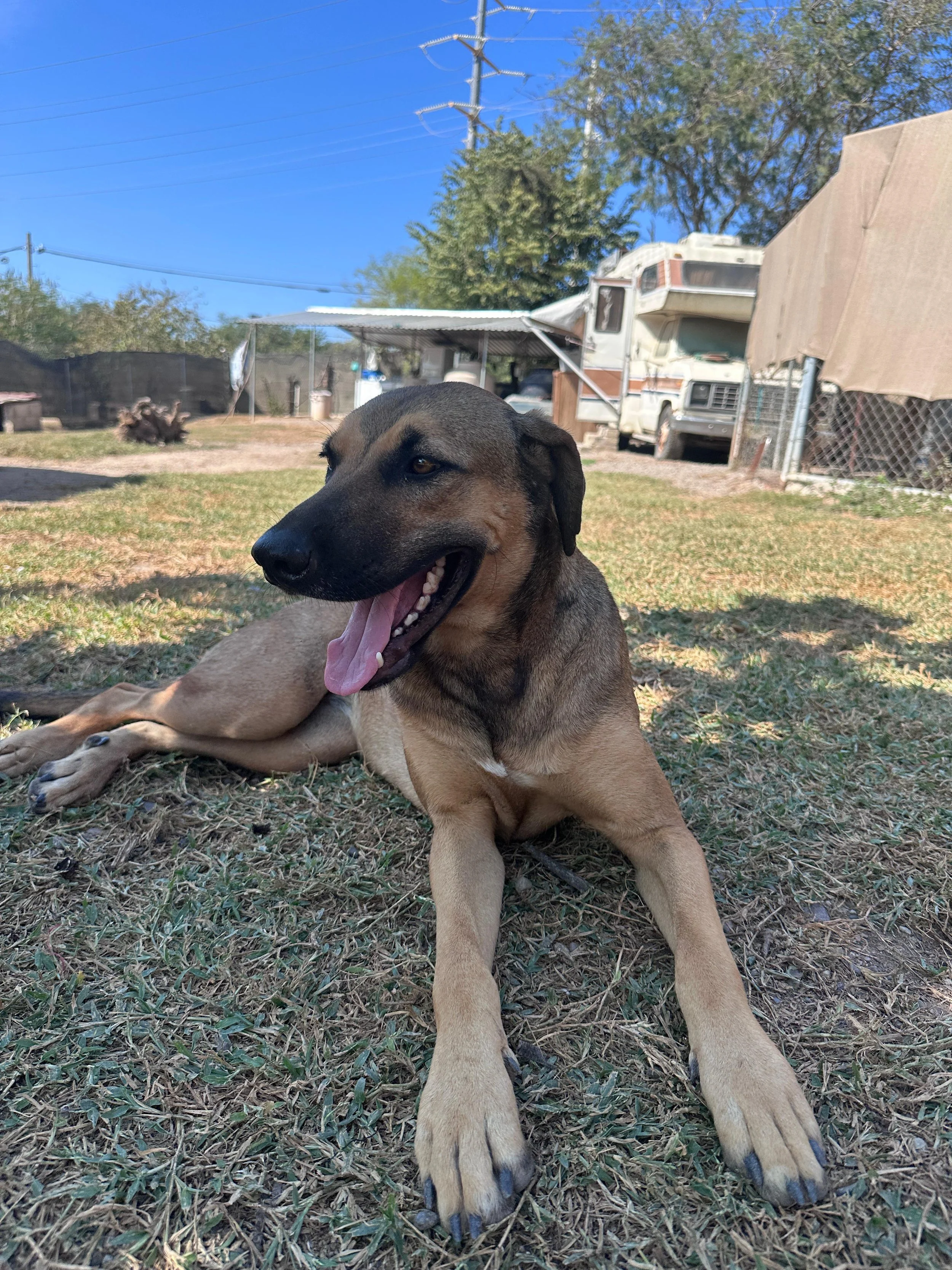 Dua LIpa 12-13-25 E.jpeg