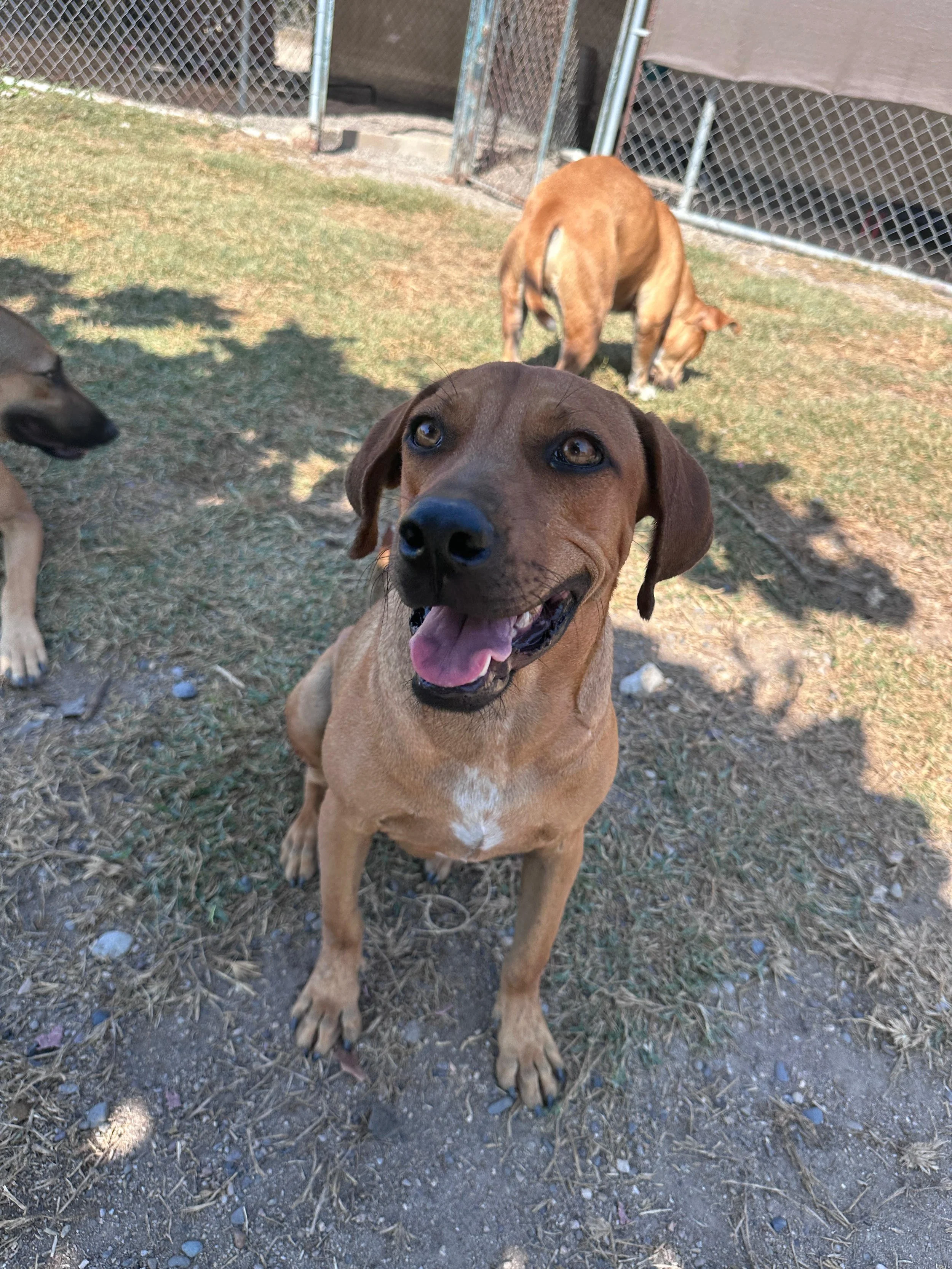 Dua Lipa 12-13-25 A.jpeg