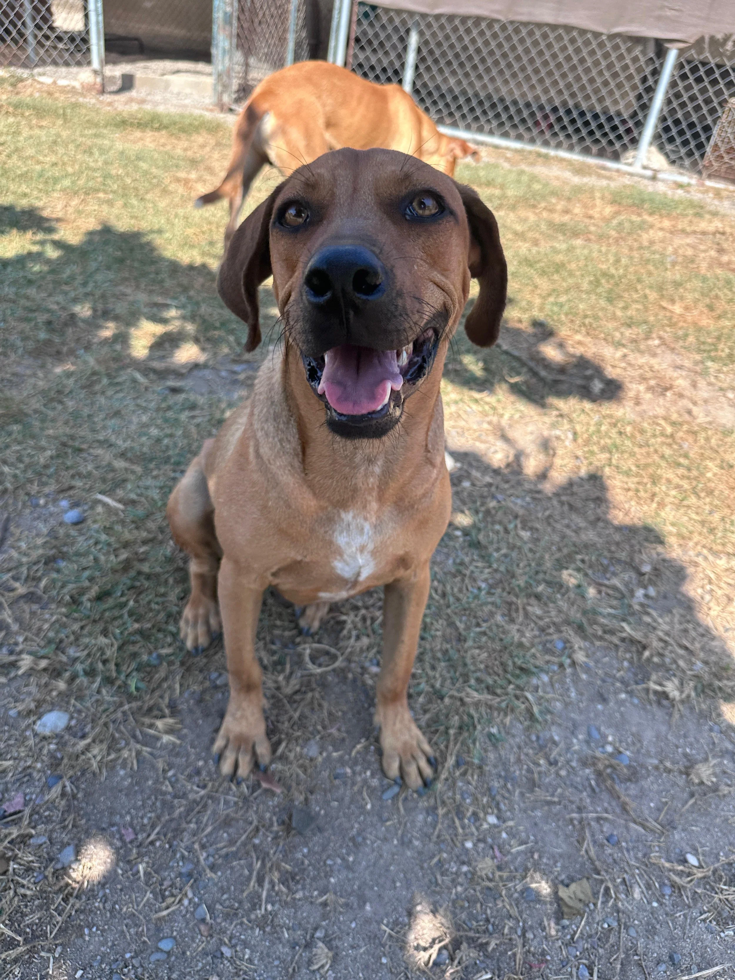 Dua Lipa 12-13-25 B.jpeg